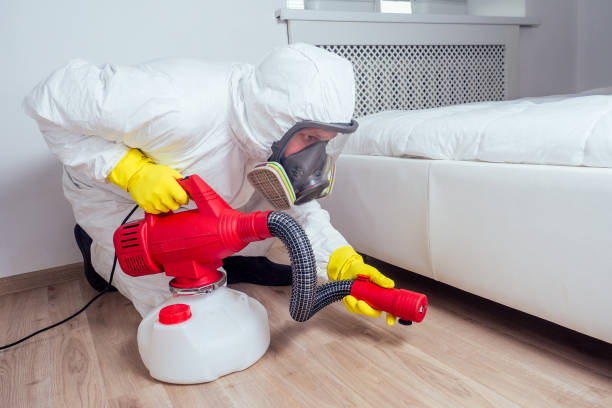 Real Estate Pest Inspections in Munsons Corners, NY